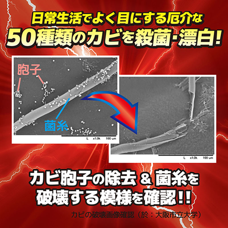 ウルトラハードクリーナー カビ用 200g