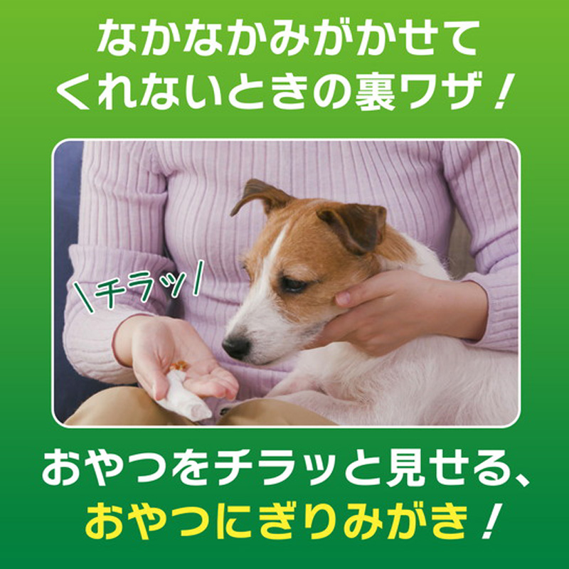 PETKISS 歯みがきシート30枚