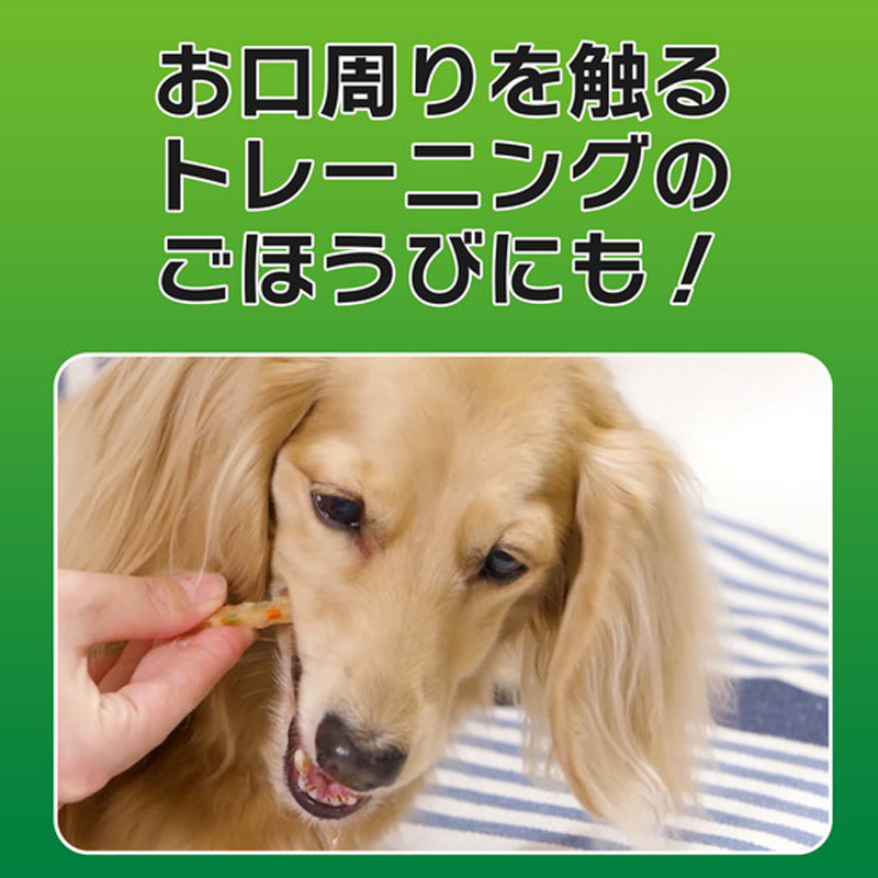 PETKISS ワンちゃんの歯みがきおやつ ササミスティック プレーン 60g