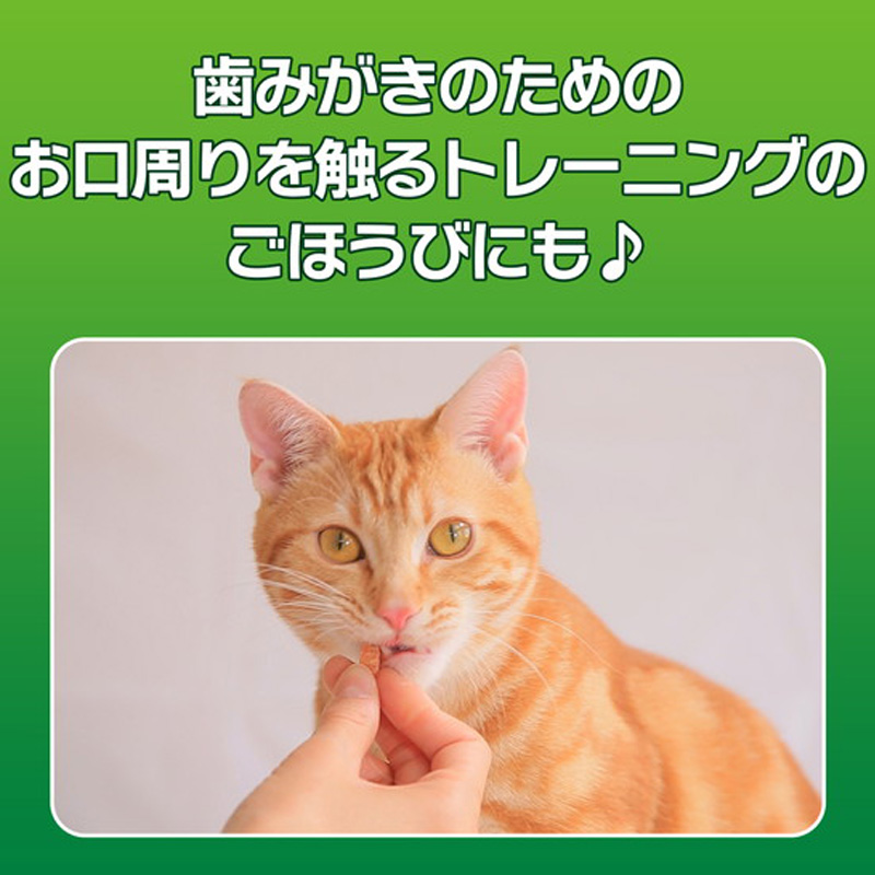 PETKISSネコちゃんの歯みがきおやつササミジャーキー 20g