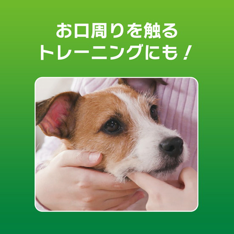 ペットケア用品 PETKISS歯みがきジェルリーフの香り 40g