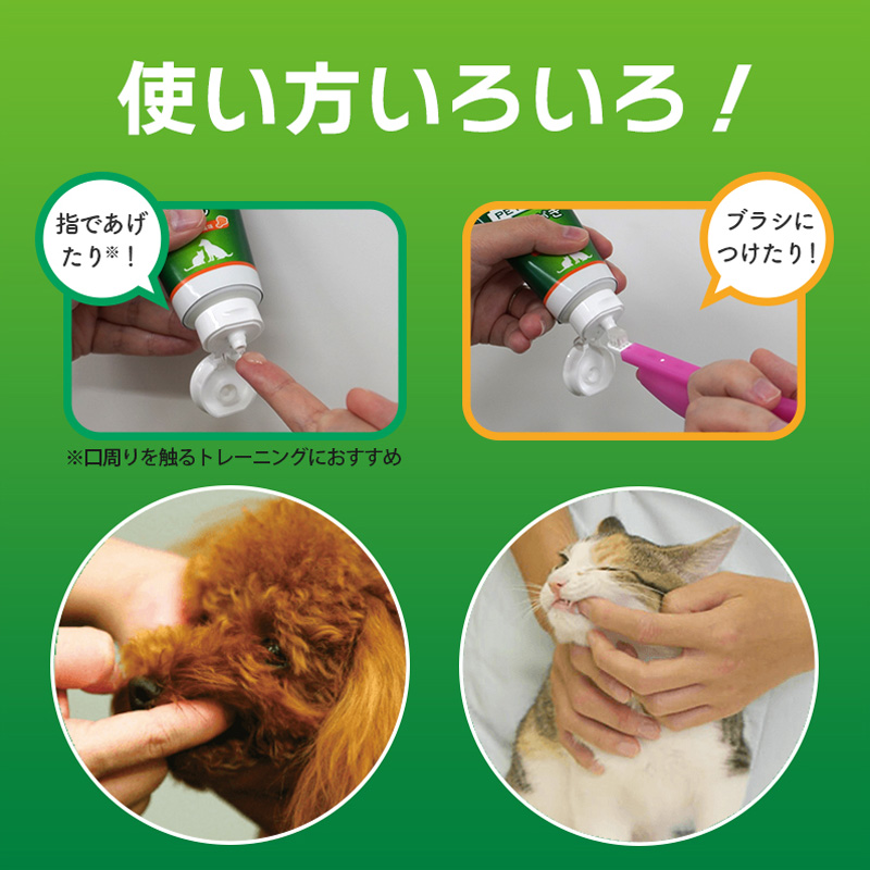 ペットケア用品 PETKISS歯みがきジェルチキン風味 40g