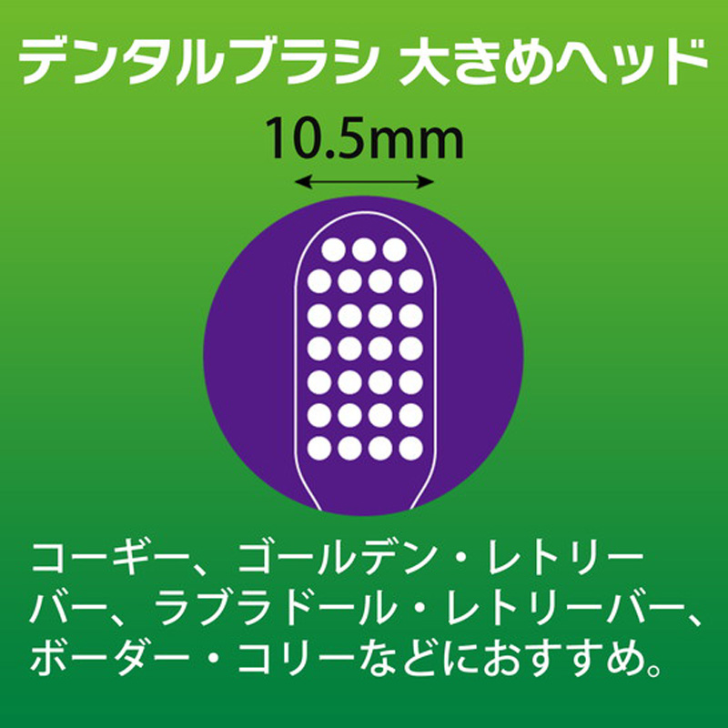 ペットケア用品 PETKISSデンタルブラシ 大きめヘッド