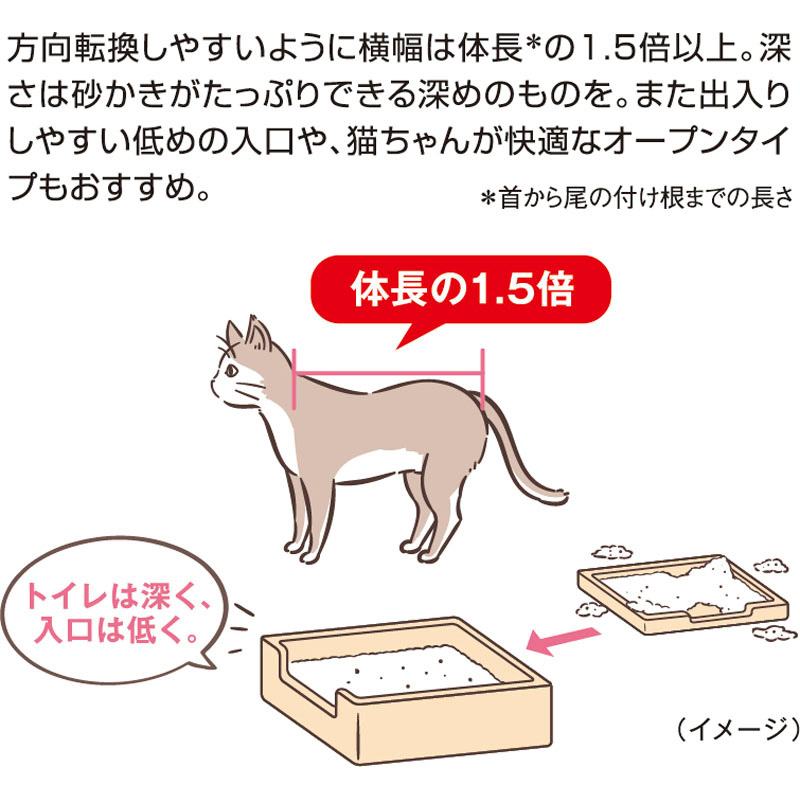 獣医師開発ニオイをとる砂専用猫トイレ 57.5×38×20cm アイボリー