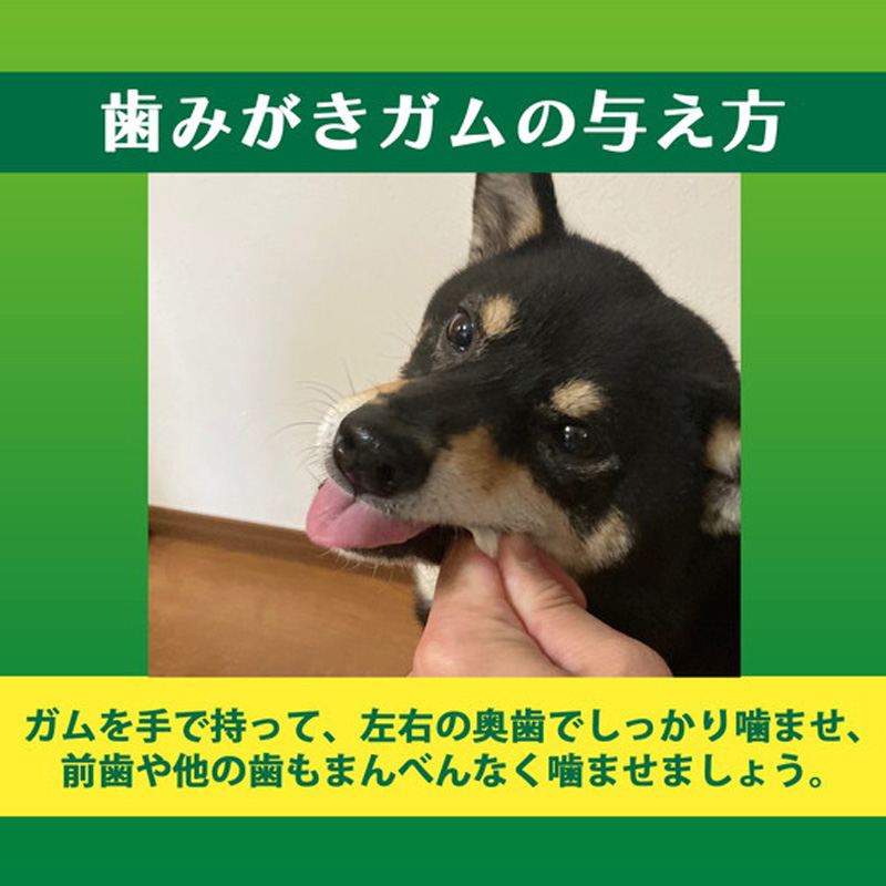 PETKISS 食後の歯みがきガム やわらかタイプ 90g