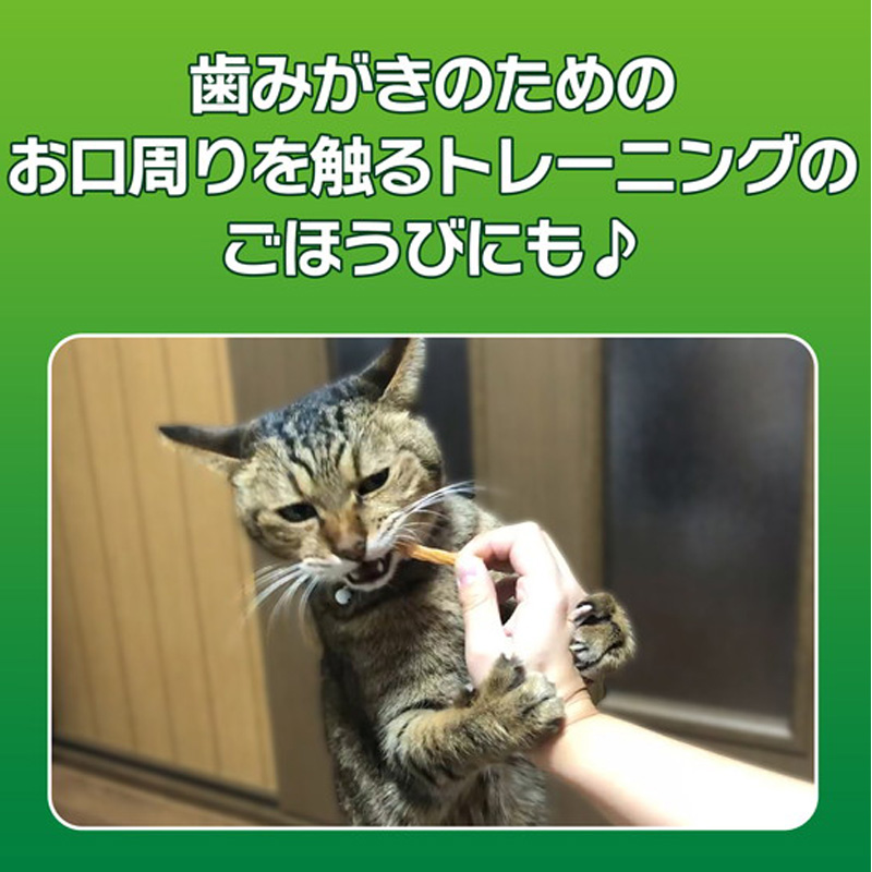 PETKISS ネコちゃんの歯みがきおやつまぐろ味スティック7本