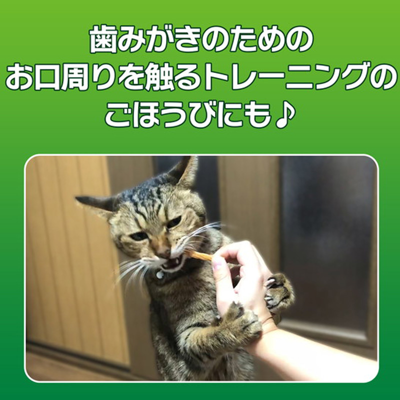 PETKISS ネコちゃんの歯みがきおやつチキン味スティック7本