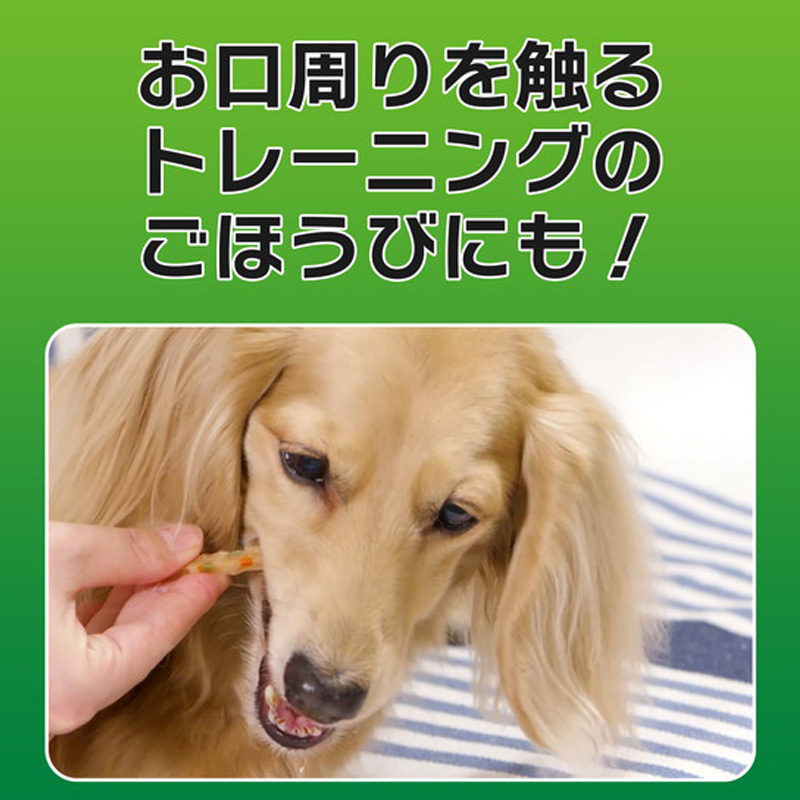 PETKISS ワンちゃんの歯みがきおやつ低脂肪ササミスティック野菜入り 60g
