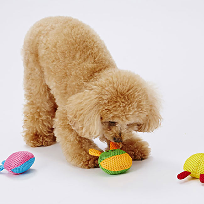 デンタルうさぴー ぬいぐるみ