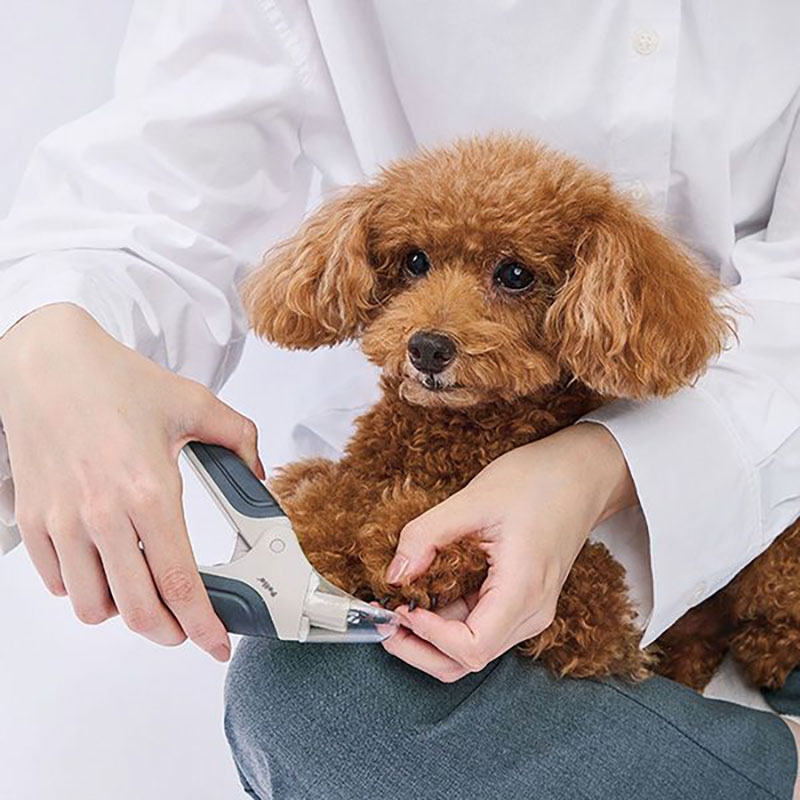 FIXCARE 犬用爪切り ツメが飛び散らないカバー付ネイルスライドカッター