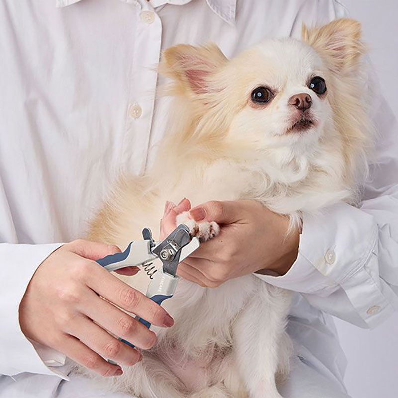 FIXCARE 犬用爪切り 深ツメガードプレート付ネイルニッパー