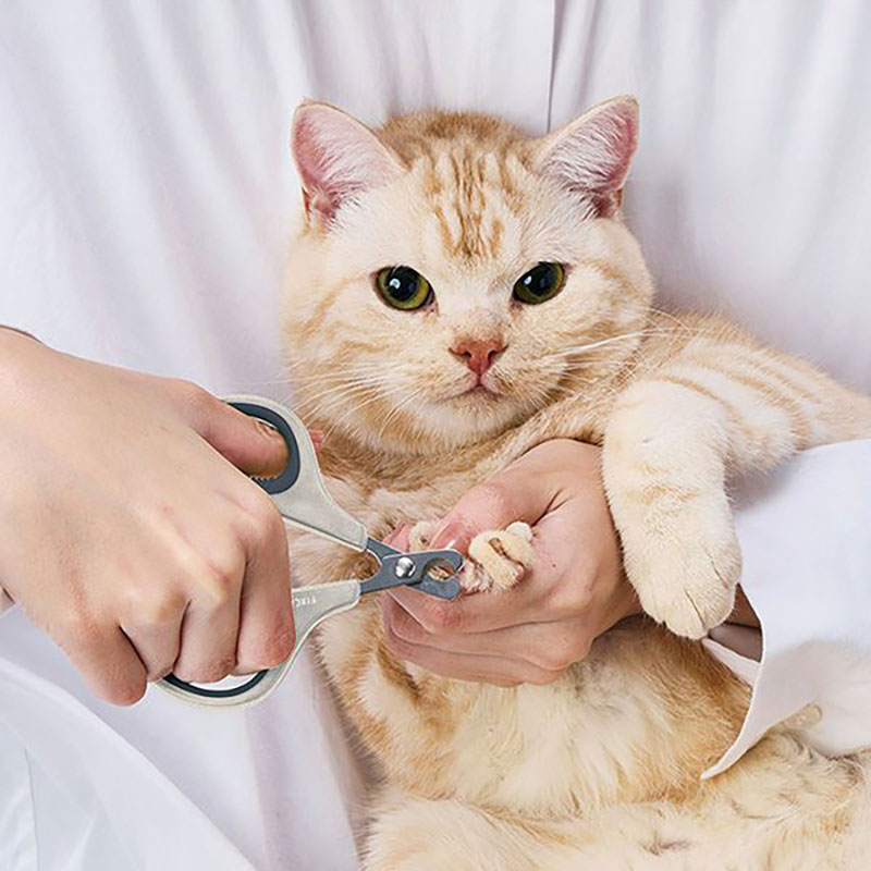 FIXCARE 猫用爪切り 滑りにくい持ち手 ネイルハサミ