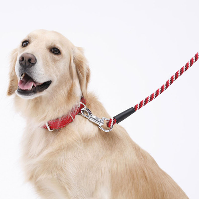 ベーシックプラス スパイラルリード 18mm レッド