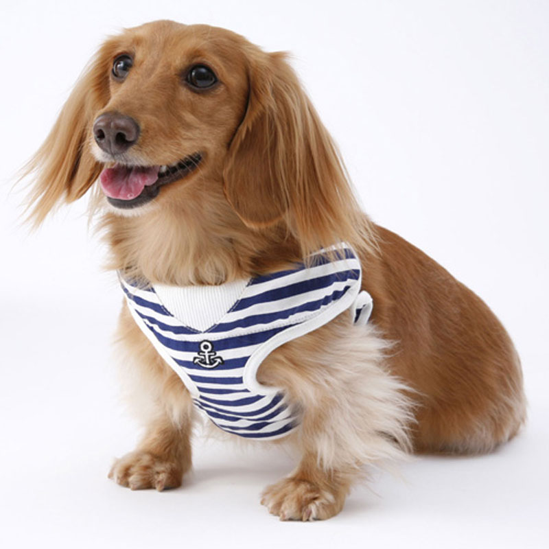 マリンベスト ハーネス&リード SS ブルー