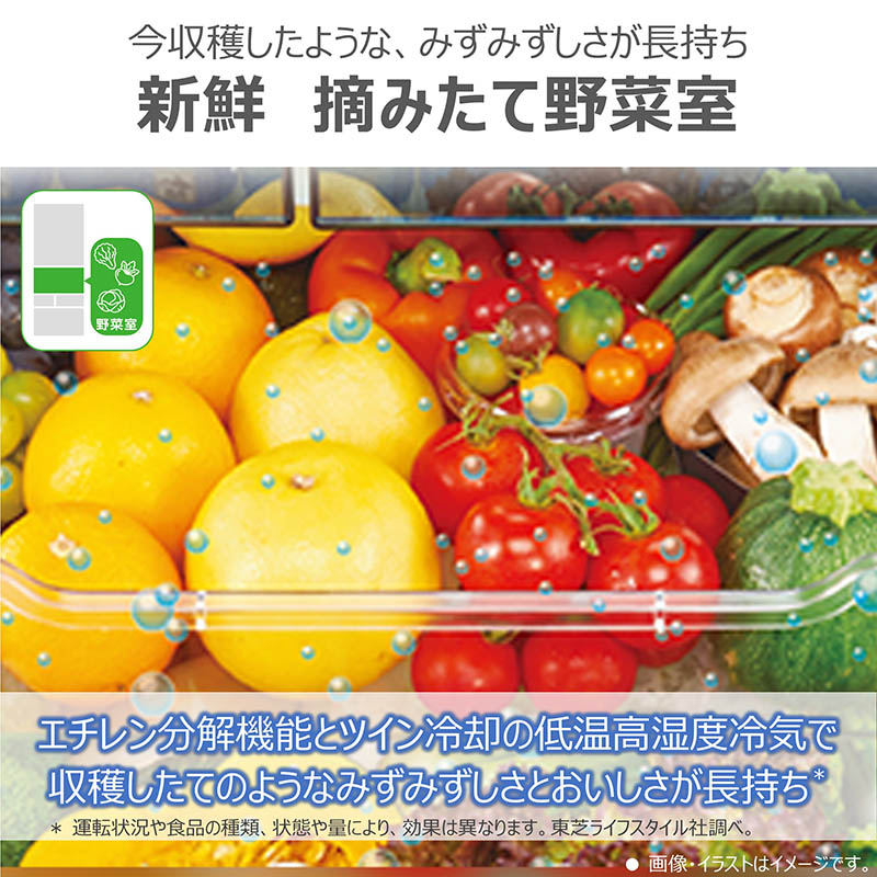 【お取り寄せ商品】462L 6ドア 冷蔵庫 GR-W460FK-EC サテンゴールド