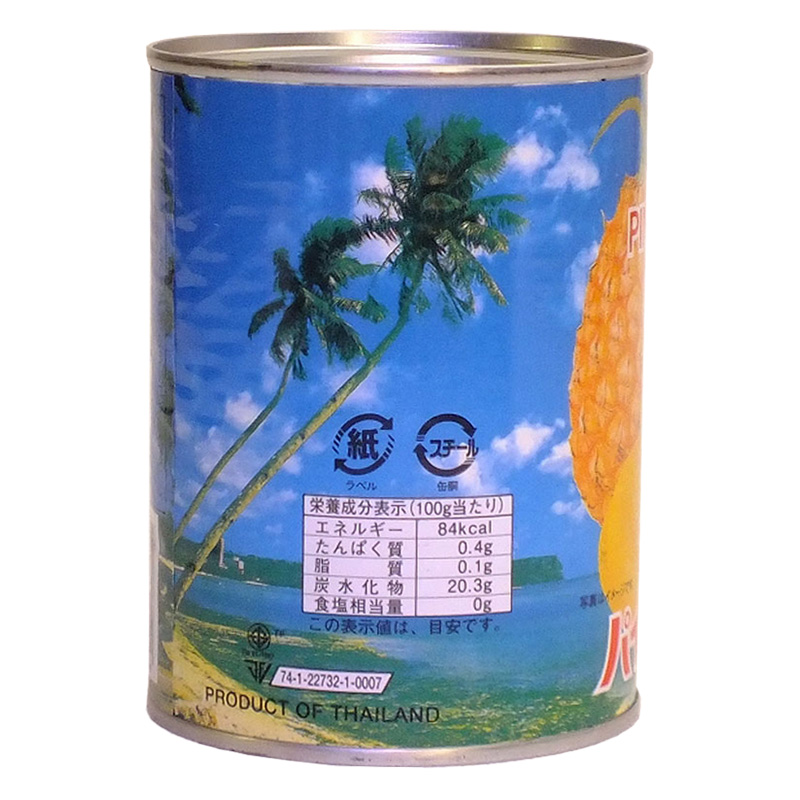 TNO パインアップル スライス10枚 565g