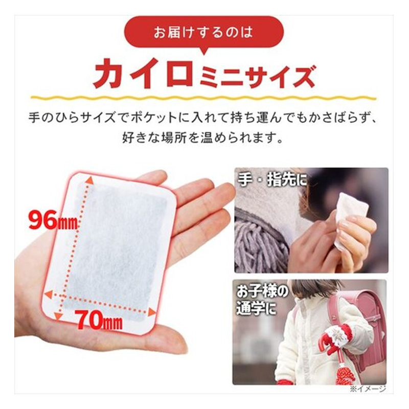 カイロ ぽかぽか家族ミニ 10個
