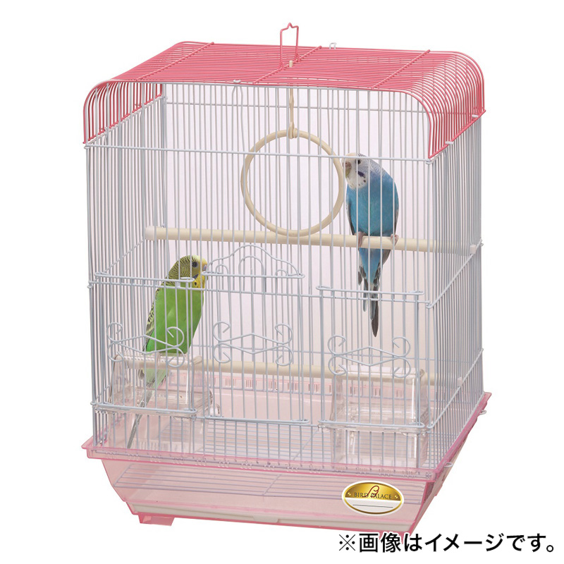 バードパレスピーチ