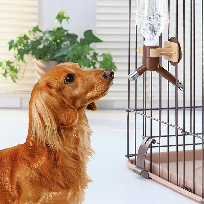 エコボトルトップW ブラウン