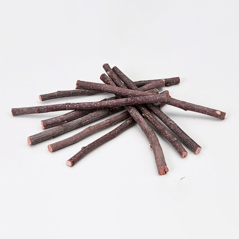 果実って小枝 りんご 10本