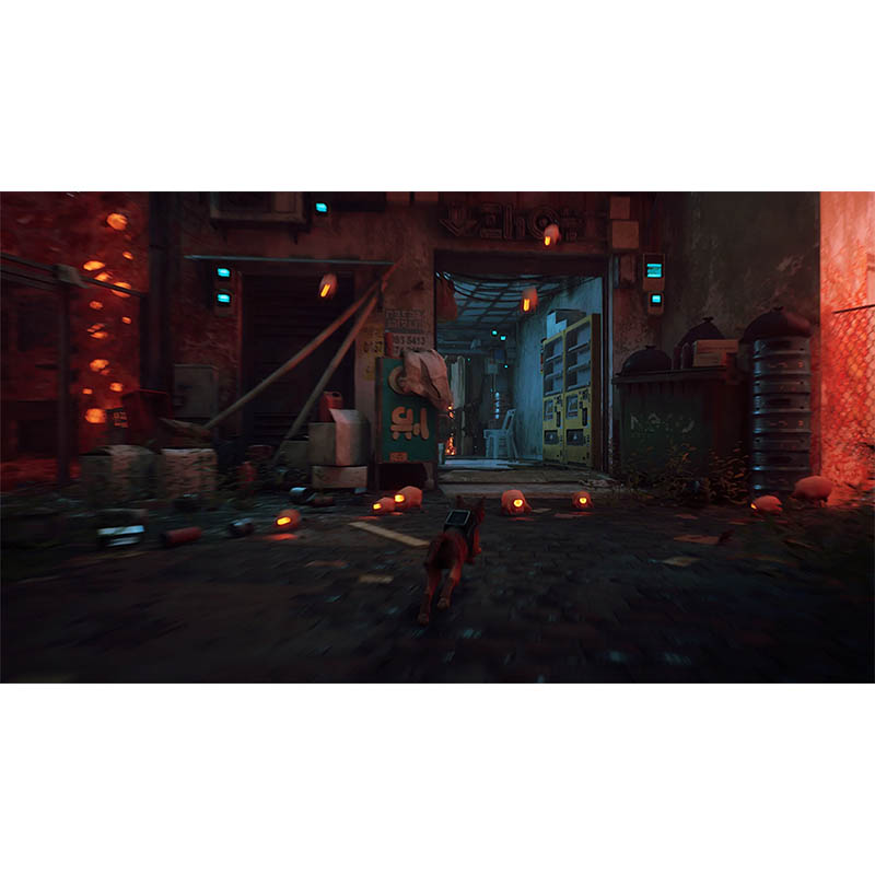 【SW2】Stray