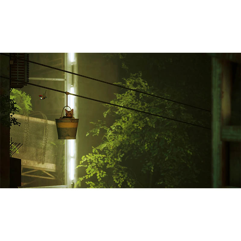 【SW2】Stray