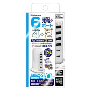 AC充電器 AC Type-C2P USB-A4P 40W 自動識別 リバーシブル ホワイト