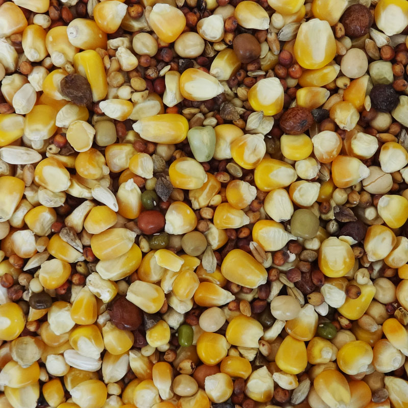 エクセル 鳩の食事 600g