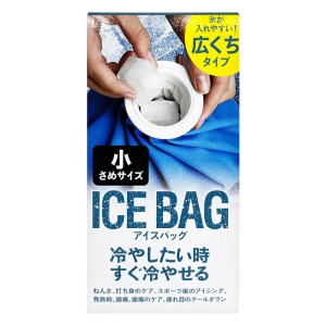 ICE BAG 小さめサイズ