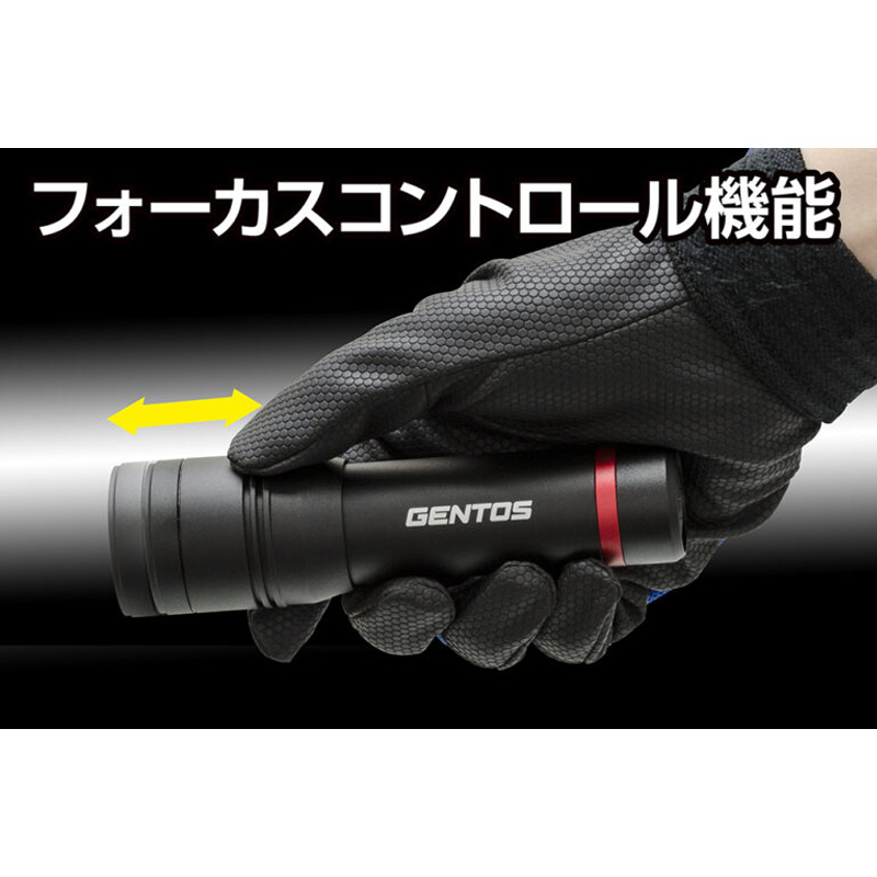 LEDハンディライト レクシード344D