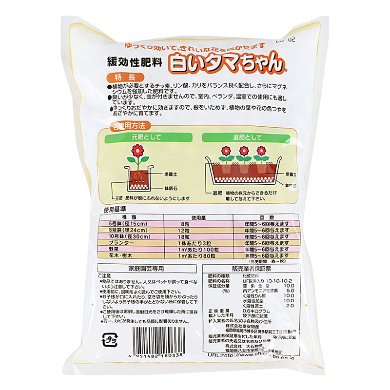 白いタマちゃん