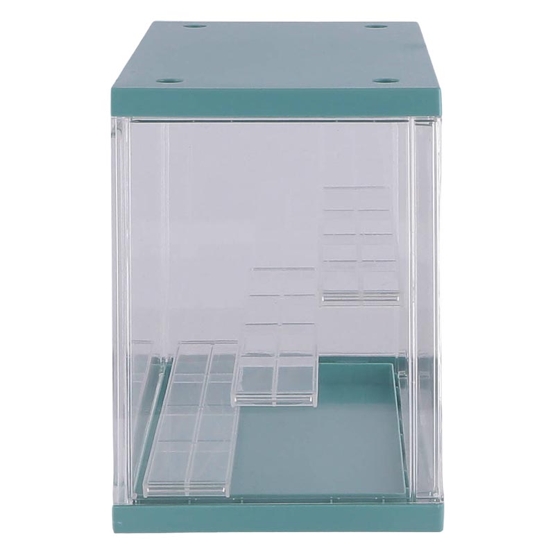 コレクションケース hina Mint グリーン