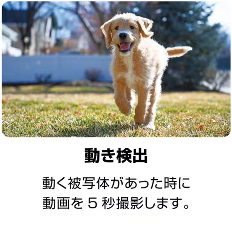 ケンコー・トキナー オートフォーカス　デジタルカメラ