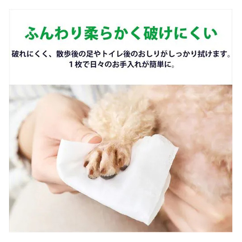 【お取り寄せ商品】ペット用ウェットティッシュ 80枚×8個パック DPWT-8P