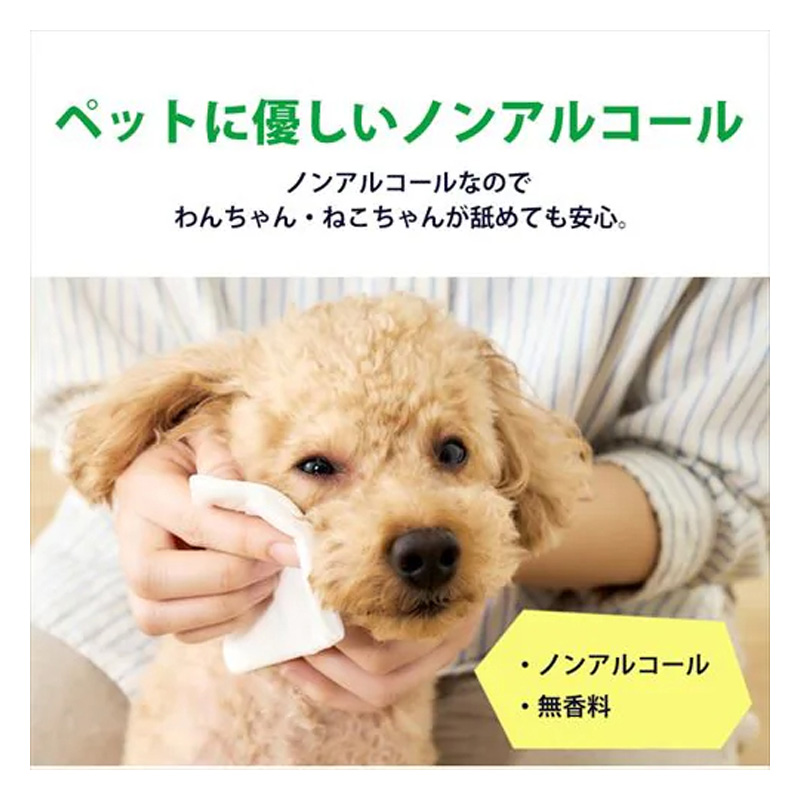 【お取り寄せ商品】ペット用ウェットティッシュ 80枚×8個パック DPWT-8P