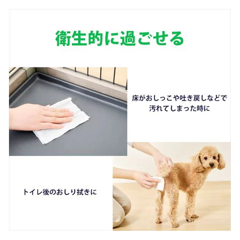 【お取り寄せ商品】ペット用ウェットティッシュ 80枚×8個パック DPWT-8P