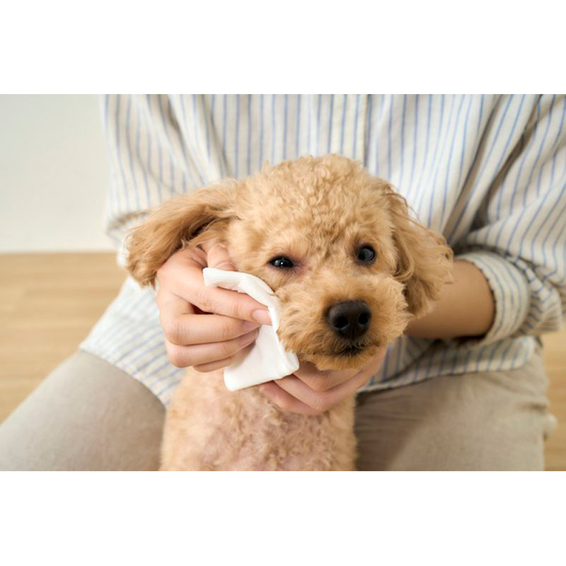 ペット用ボディタオル1P 25枚