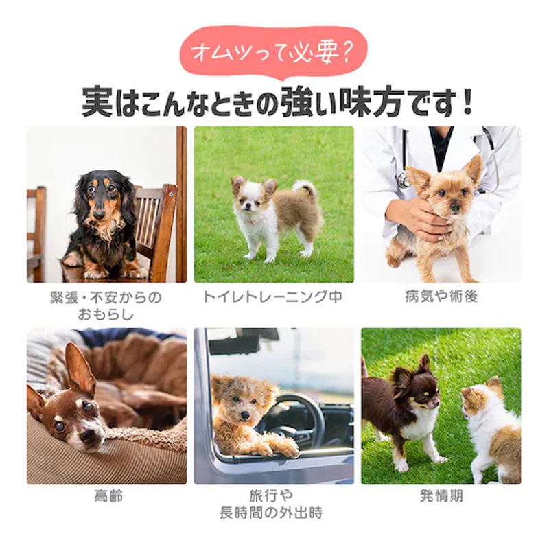 ペットおむつ ピタフィット XS 38枚 女の子