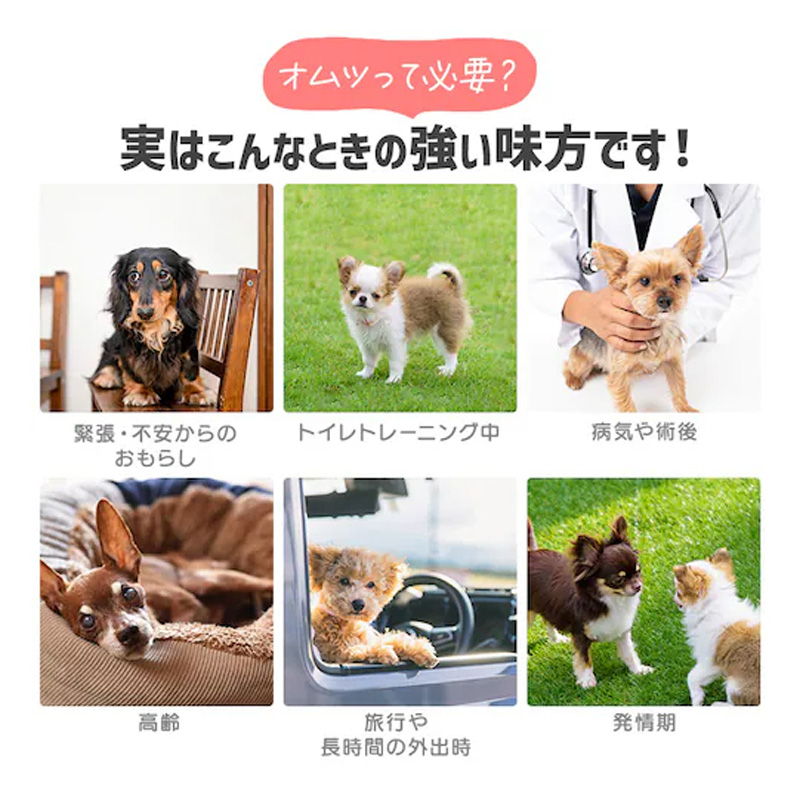 【お取り寄せ商品】ペットおむつ ピタフィット M 34枚 女の子