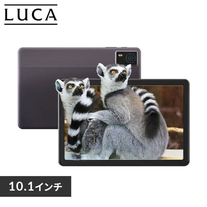 ★タブレット ヘッドピンモデル TA10E1W63-V1H シルバー