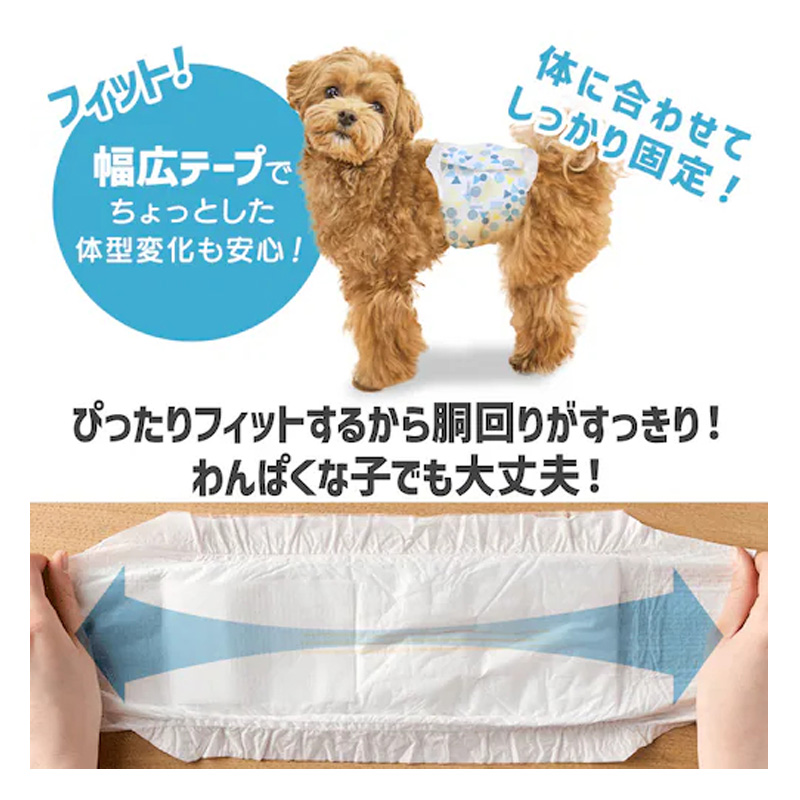 ペットおむつ ピタフィット L 40枚 男の子