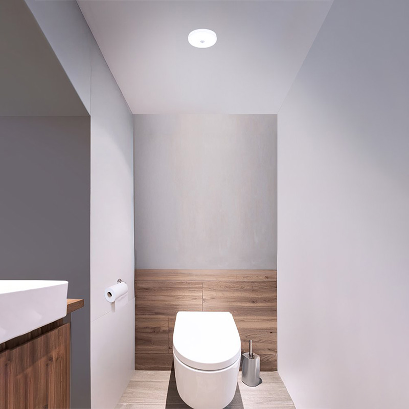 小型シーリングライト 薄形 600lm 昼光色 人感センサー付 SCL6D-MS-U2