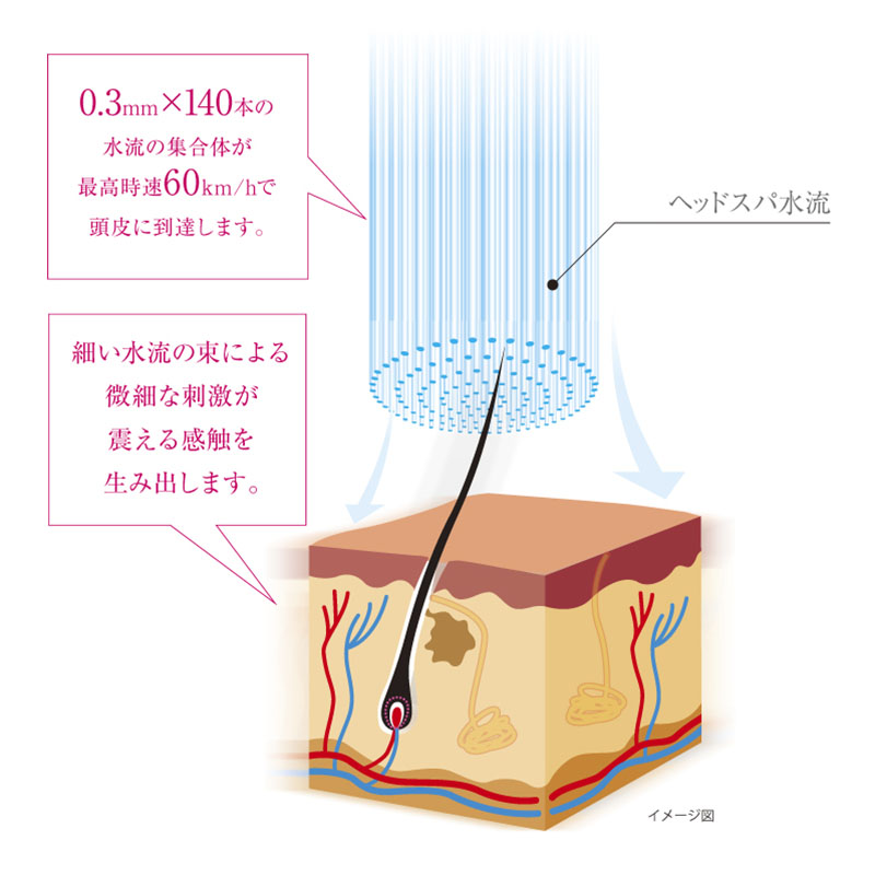 シャワーヘッド 3Dearthshowerヘッドスパ ホワイト