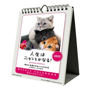 人生はニャンとかなる！2025年カレンダー CL-384 卓上・壁掛 18×14cm