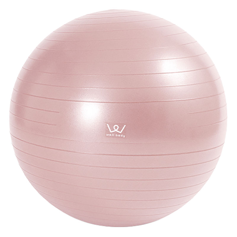 【お取り寄せ商品】エクササイズボール 55cm