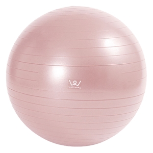 【お取り寄せ商品】エクササイズボール 55cm