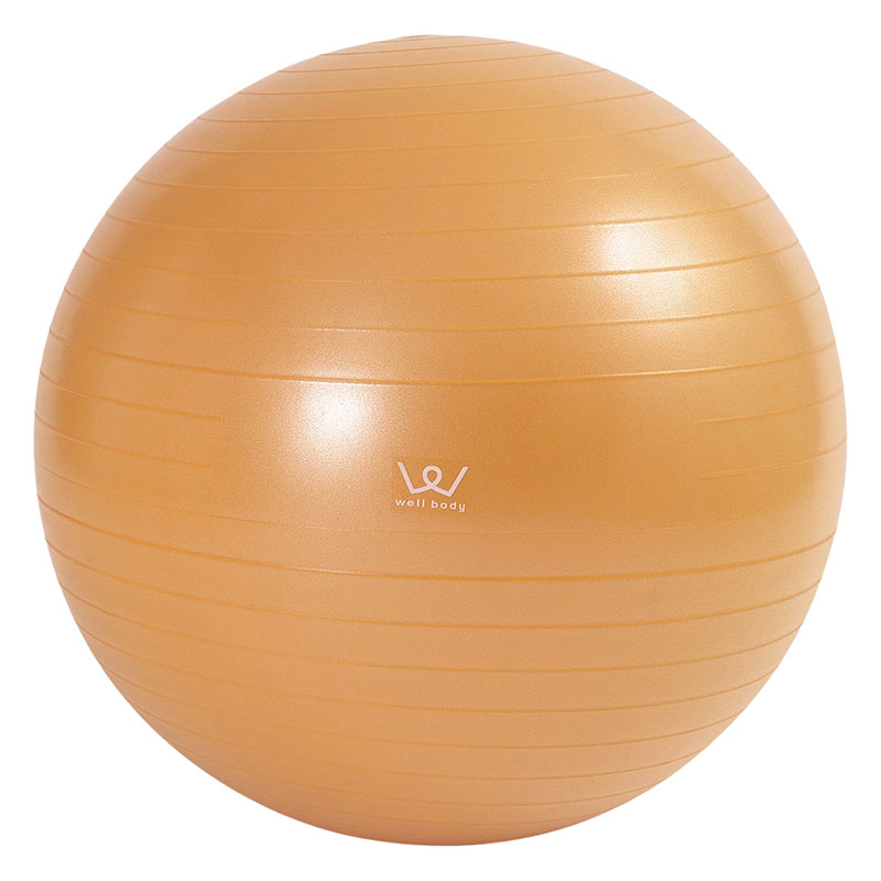 【お取り寄せ商品】エクササイズボール 65cm