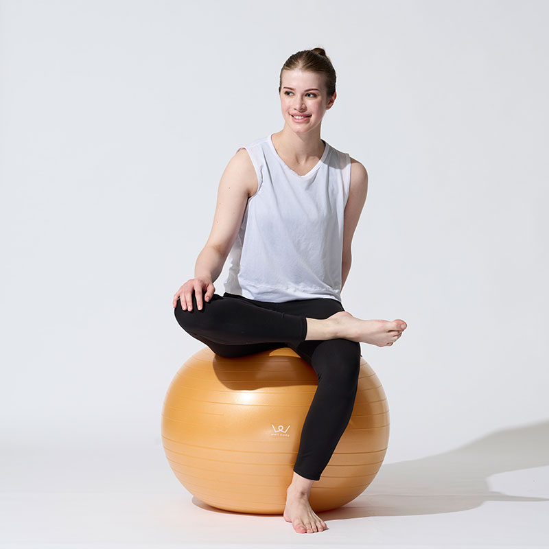 【お取り寄せ商品】エクササイズボール 65cm