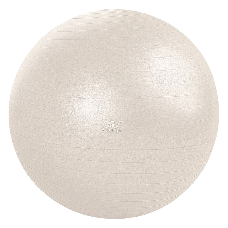【お取り寄せ商品】エクササイズボール 65cm