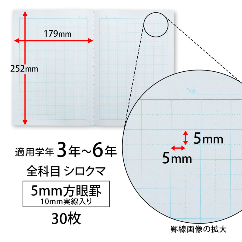 スクールキッズ 全科目 5mm方眼罫 10mm実線入り ブルー